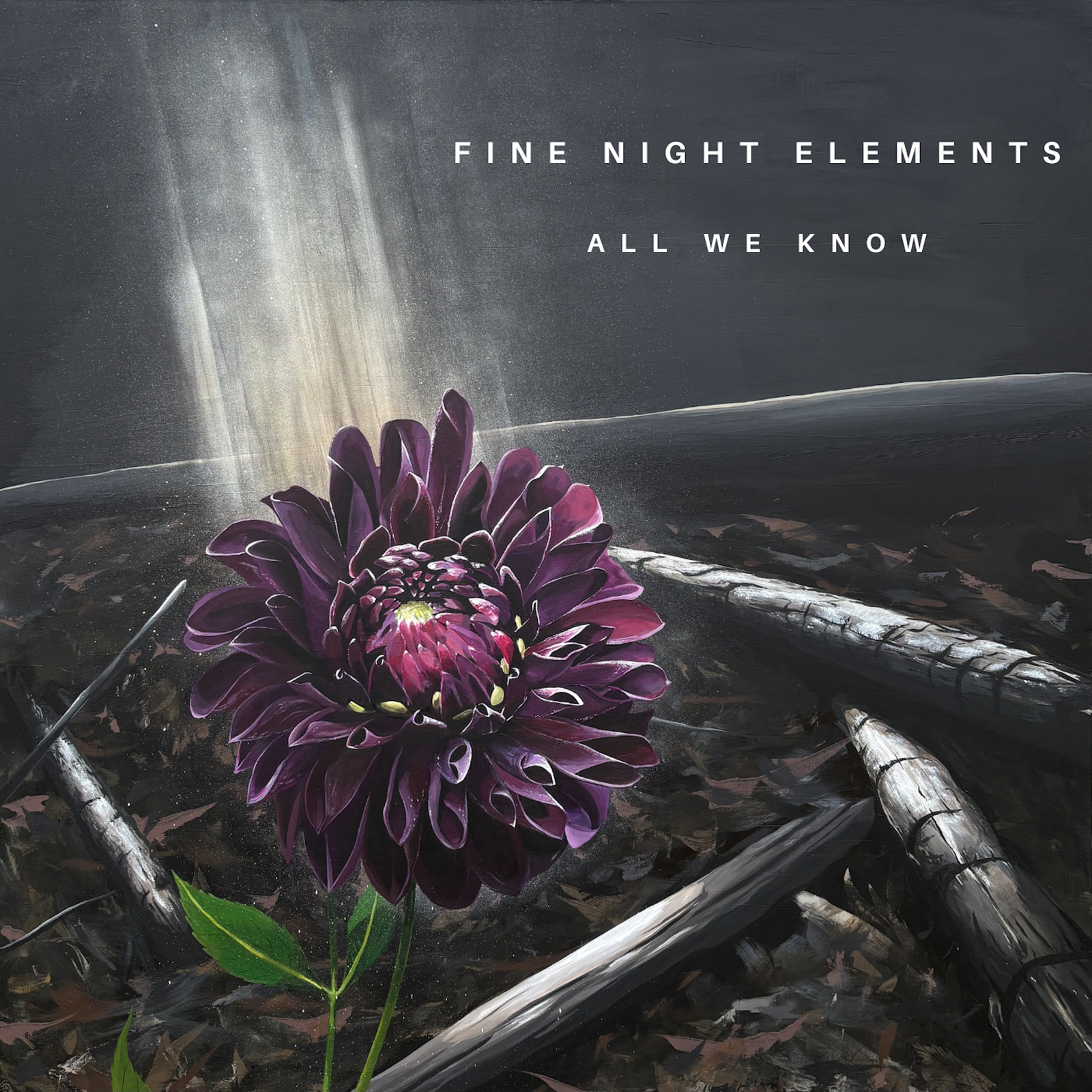All We Know - Fine Night Elements